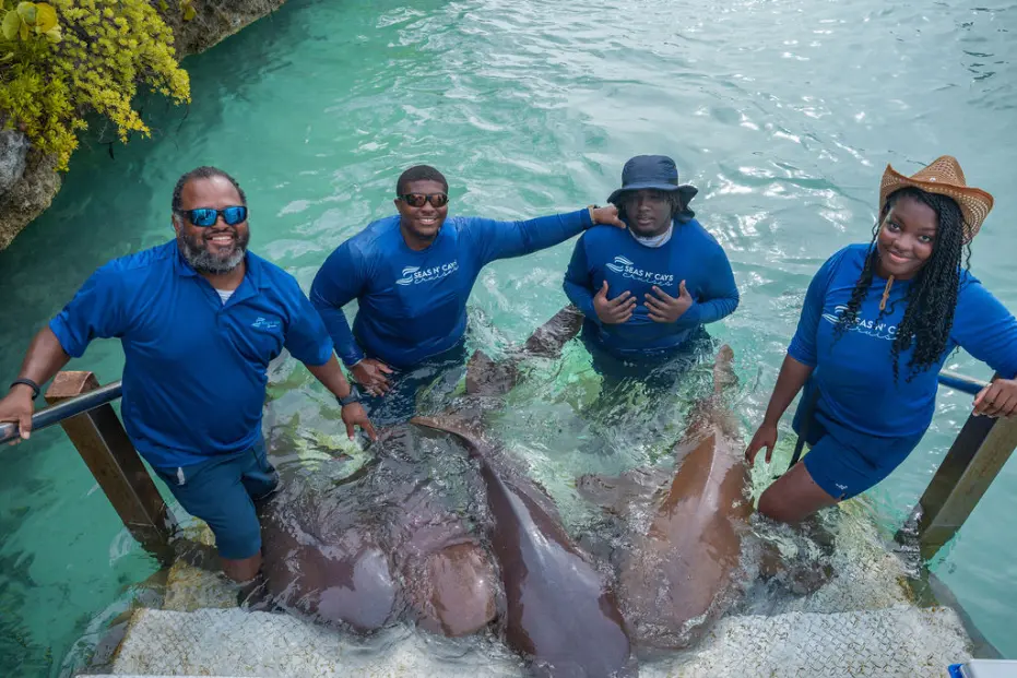 Guests feeding nurse sharks under professional supervision