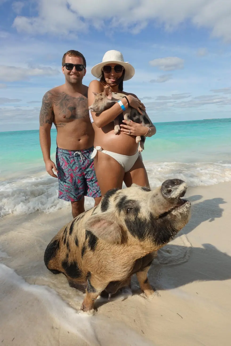 Guest feeding a swimming pig in the shallow water at Rose Island, Nassau
