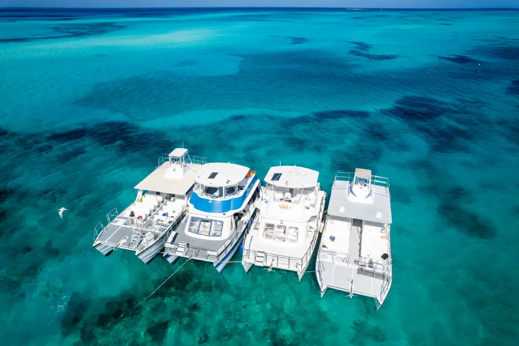 The shaded main deck of the 42' Seas N' Cays wedding catamaran
