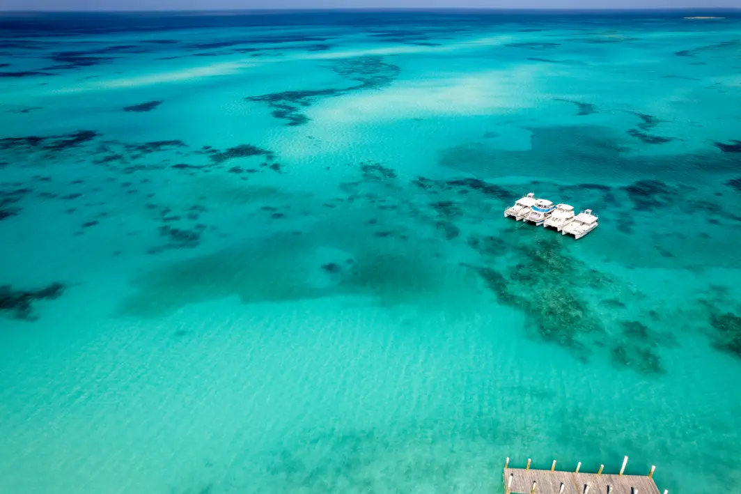 Snorkeling water over the reef near Rose Island, Bahamas