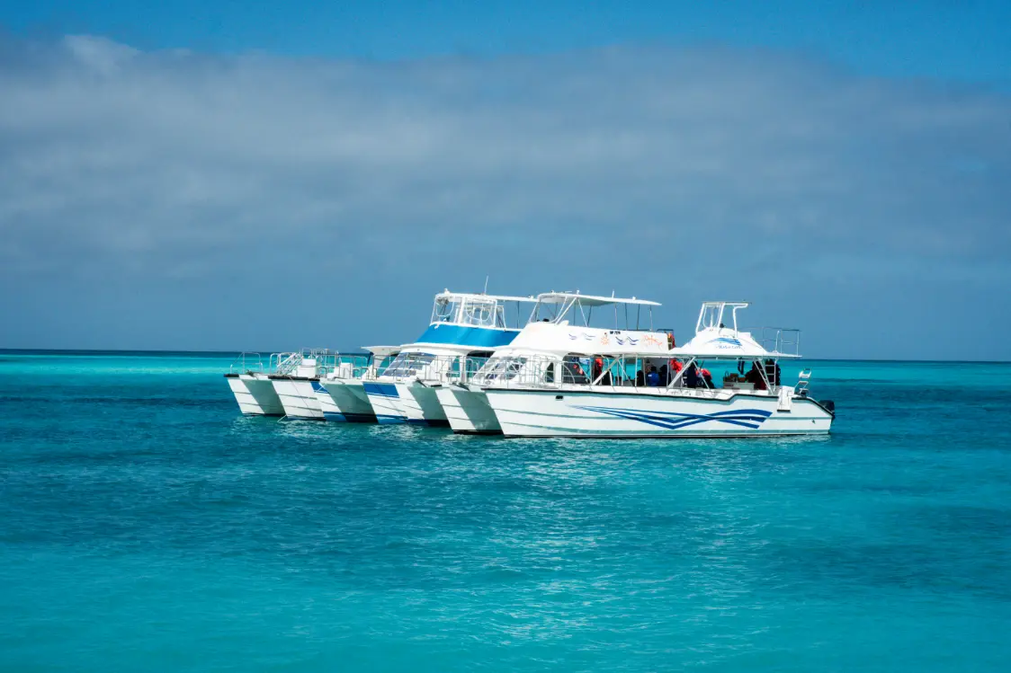 Seas N' Cays catamaran anchored off a secluded Bahamian beach