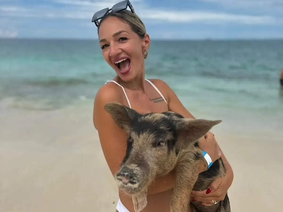 Guests swimming with the pigs at Rose Island on the Seas N' Cays VIP Package tour